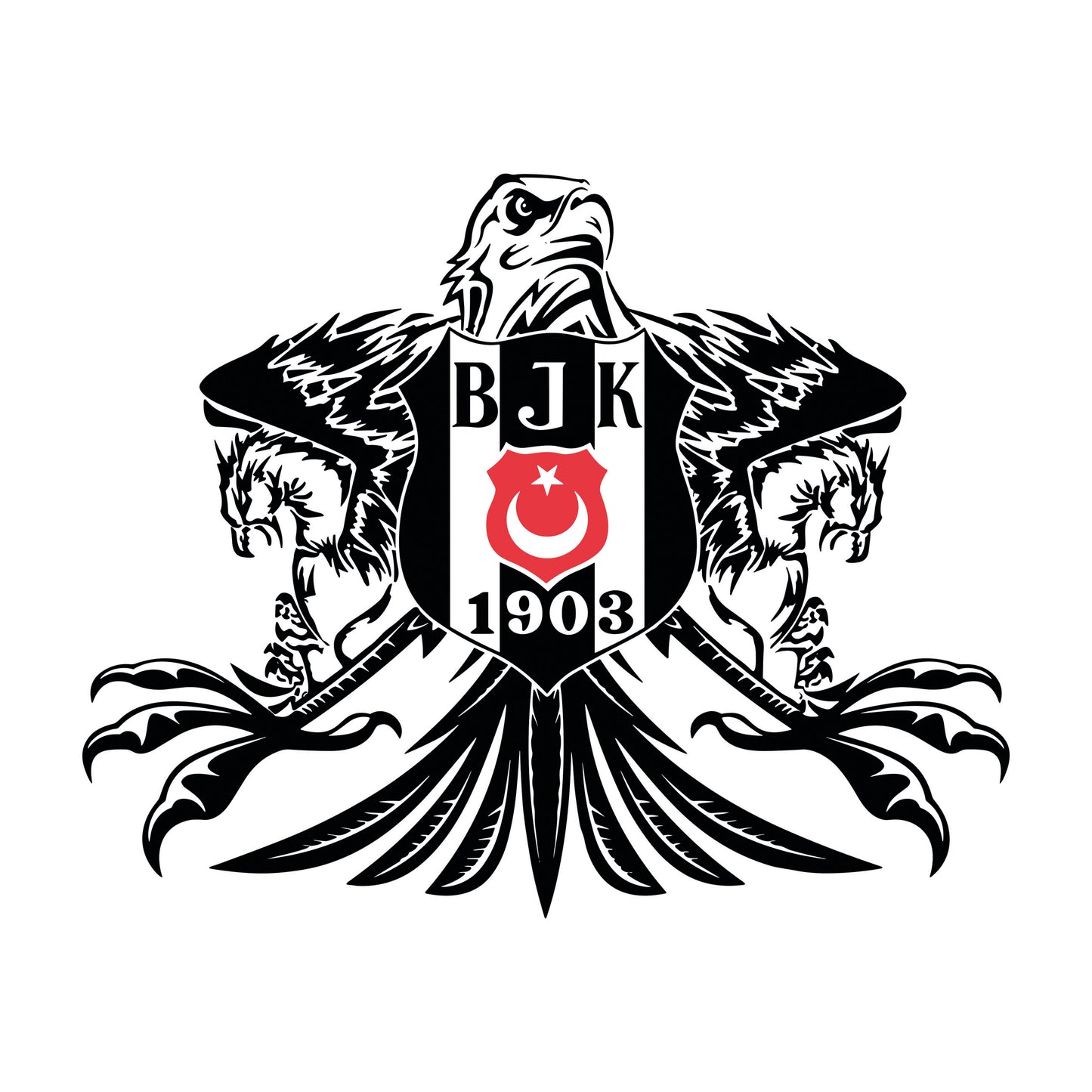 BEŞİKTAŞ TASARIM-8