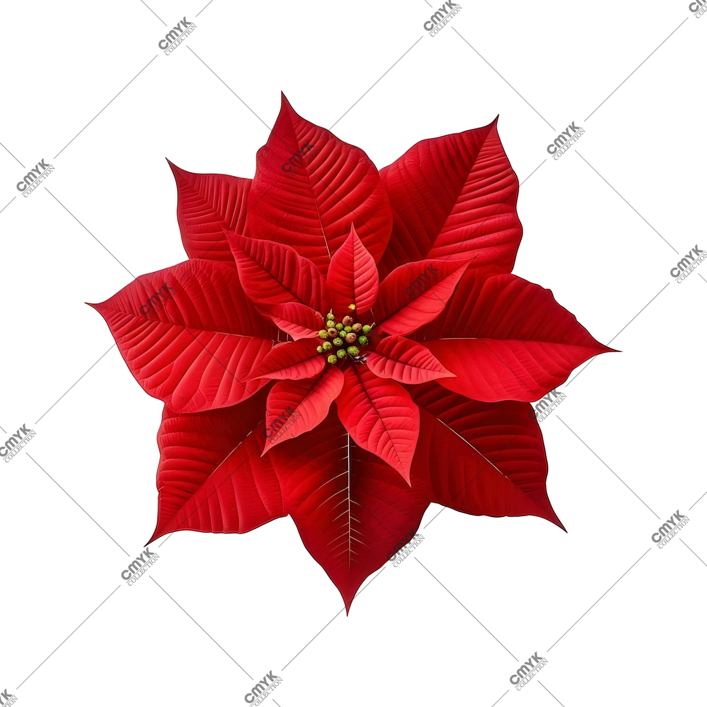 SUPLA DTF TRANSFER-0139 (29 CM)