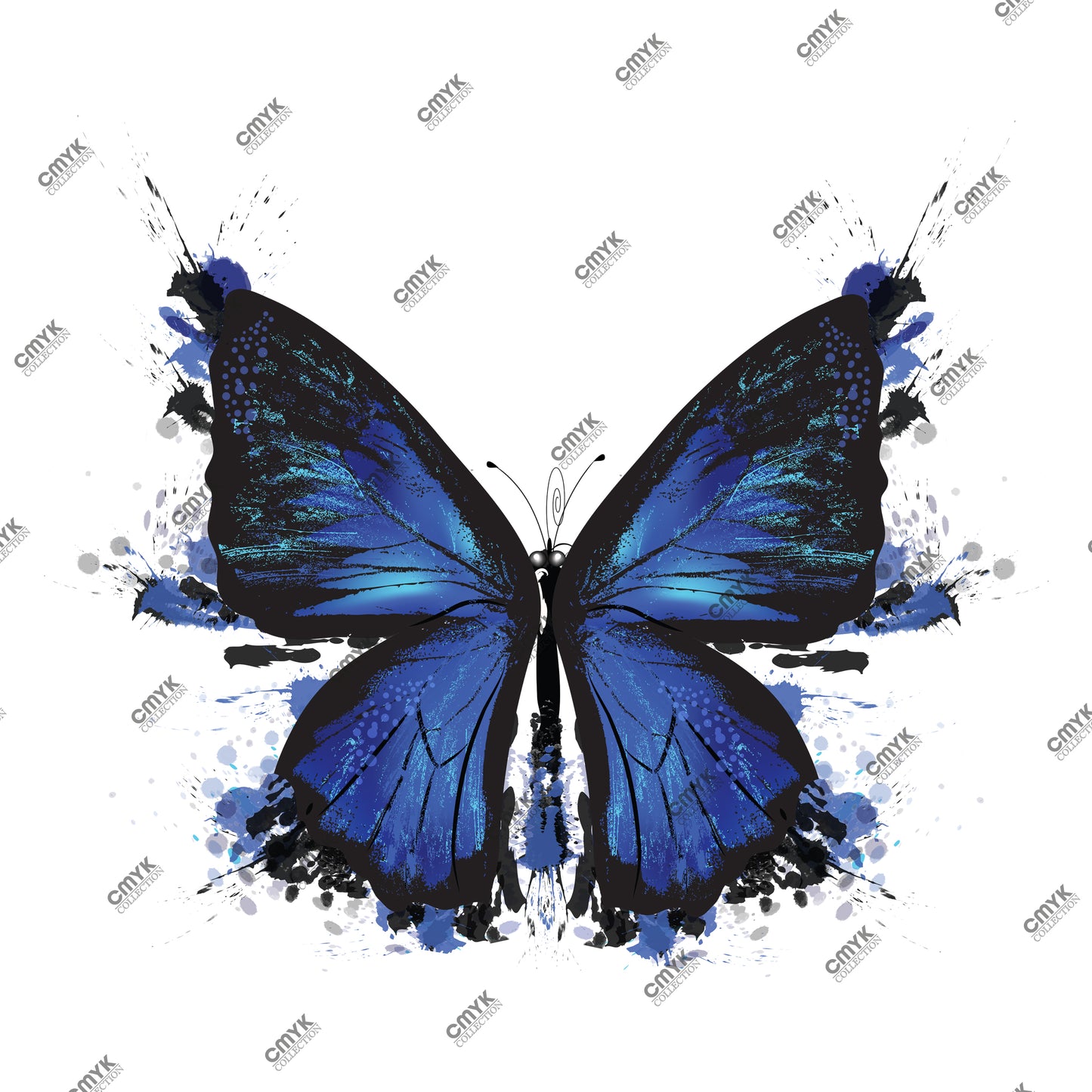HAYVAN GÖRSELLERİ -0174