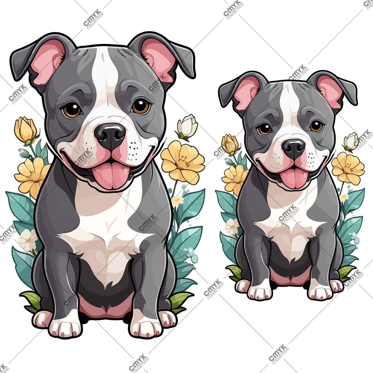 HAYVAN GÖRSELLERİ -0219