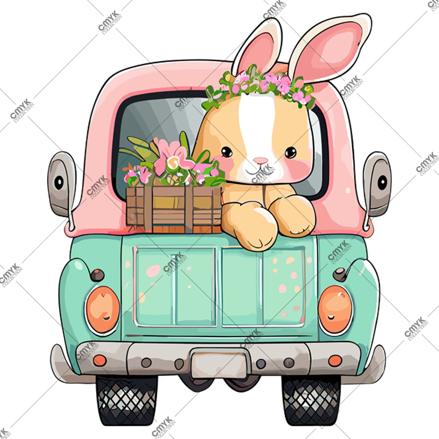 HAYVAN GÖRSELLERİ -0237