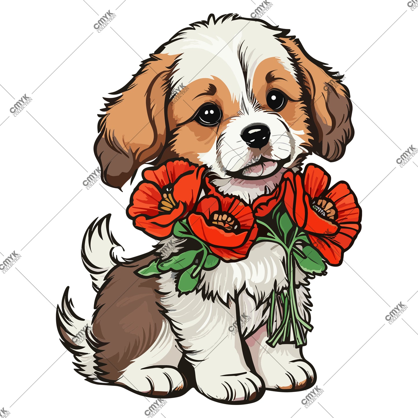 HAYVAN GÖRSELLERİ -0260