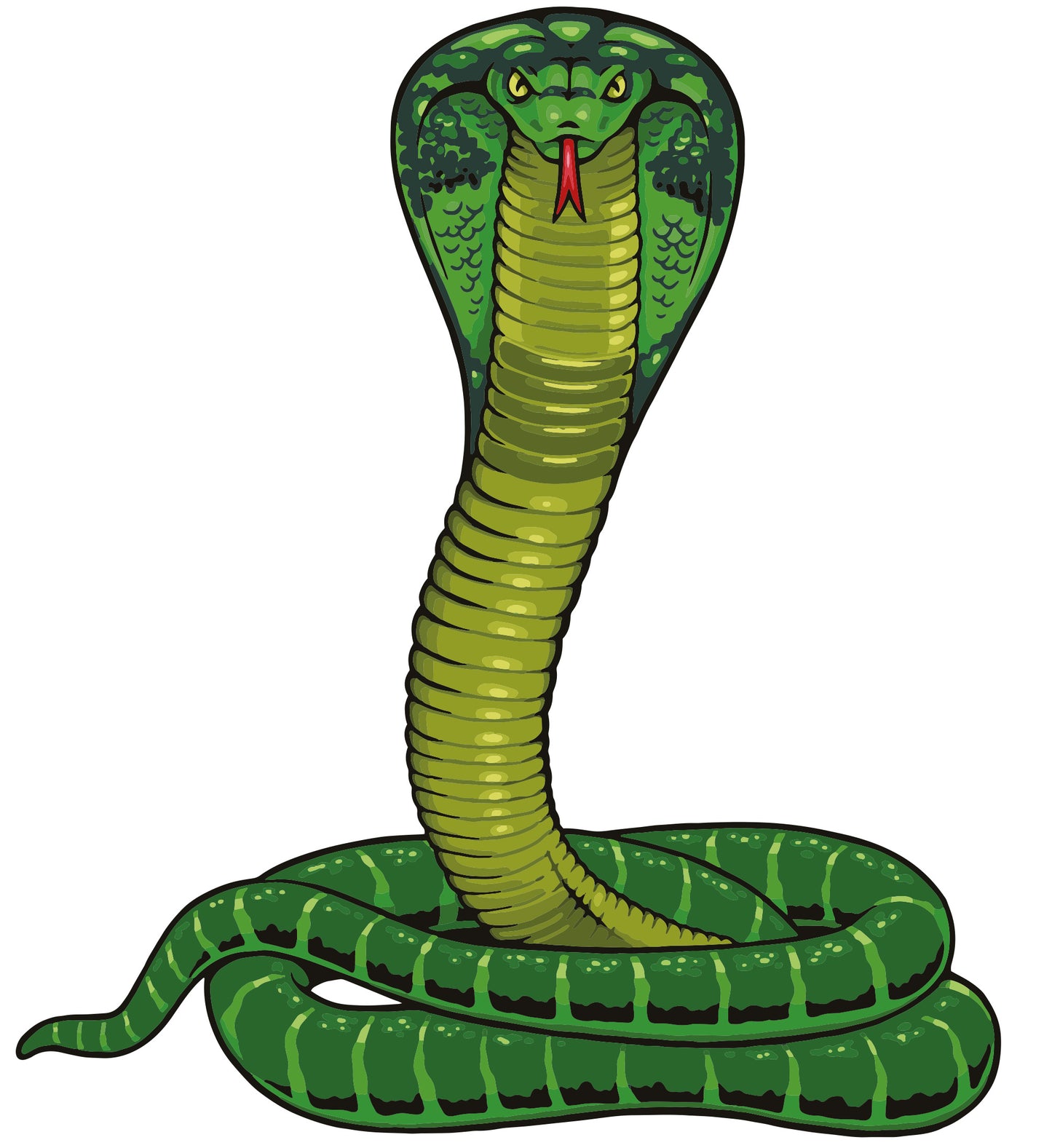 HAYVAN GÖRSELLERİ -0005