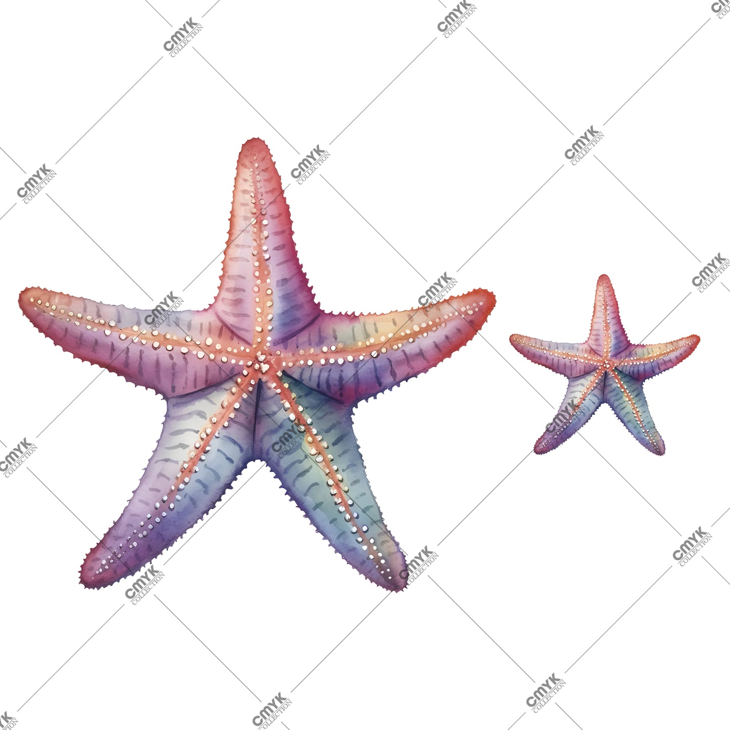 YAZ KOLEKSİYONU DTF TRANSFER -0040