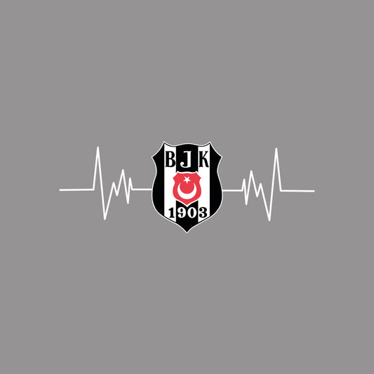 BEŞİKTAŞ TASARIM-10