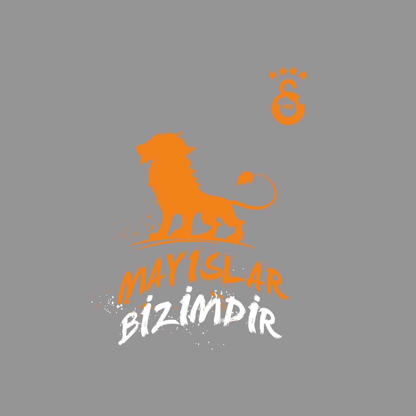 GALATASARAY TASARIM-2