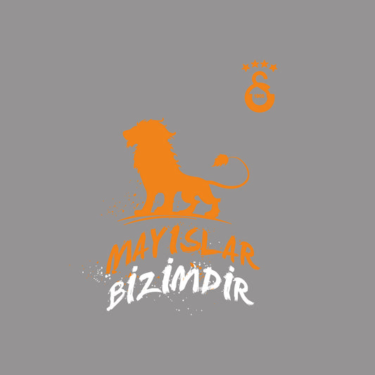 GALATASARAY TASARIM-2