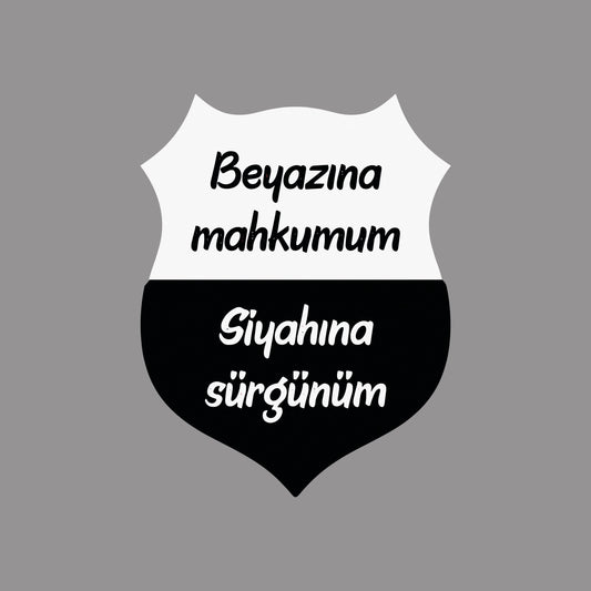 BEŞİKTAŞ TASARIM-2