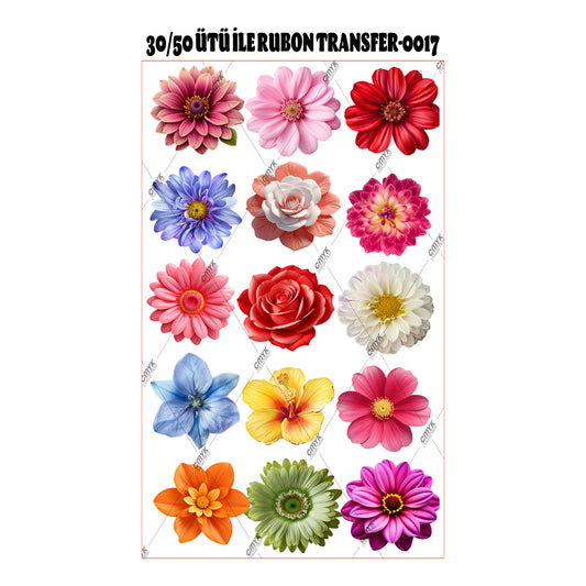 SUPPLE DTF TRANSFER-33 (29 CM)