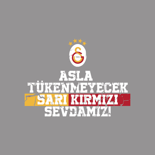 GALATASARAY TASARIM-4