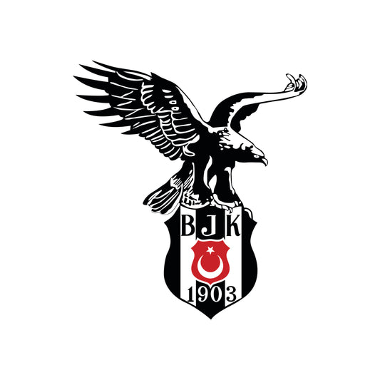 BEŞİKTAŞ TASARIM-4