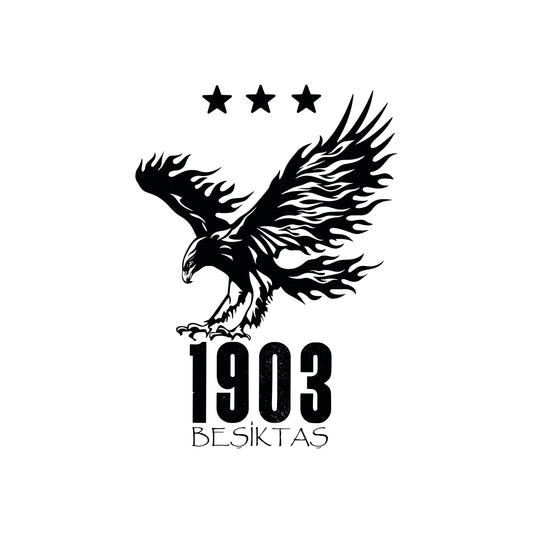 BEŞİKTAŞ TASARIM-5