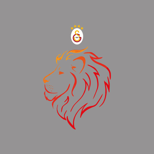 GALATASARAY TASARIM-6