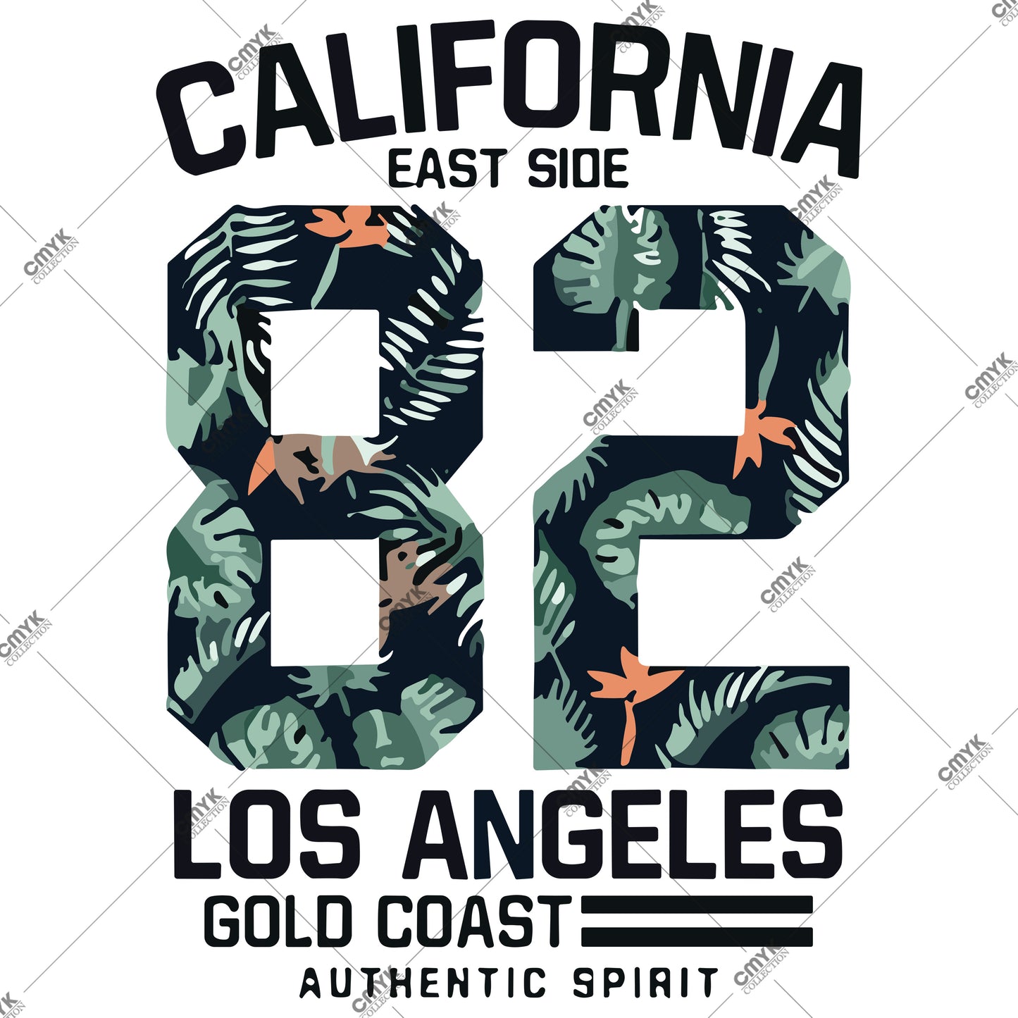 CALİFORNİA-0011