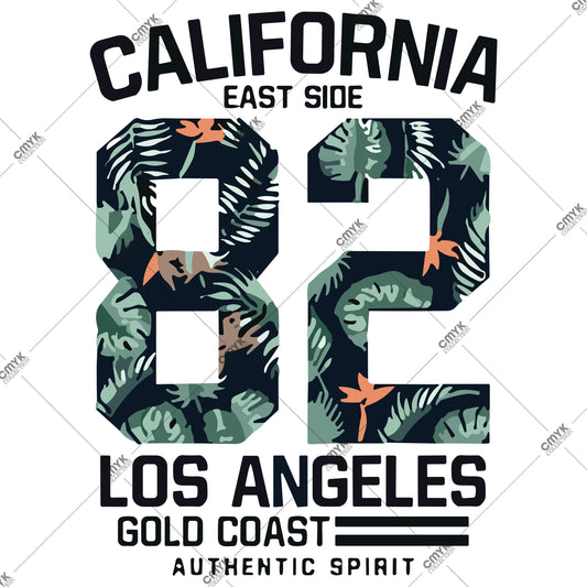 CALİFORNİA-0011