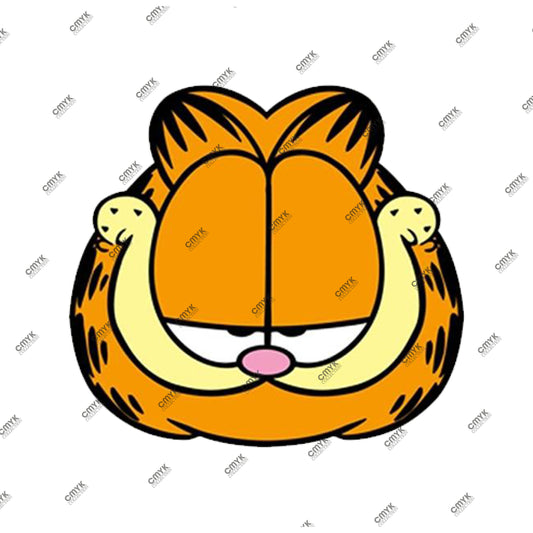 GARFİELD-0009