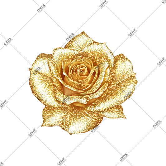 GOLD-0011