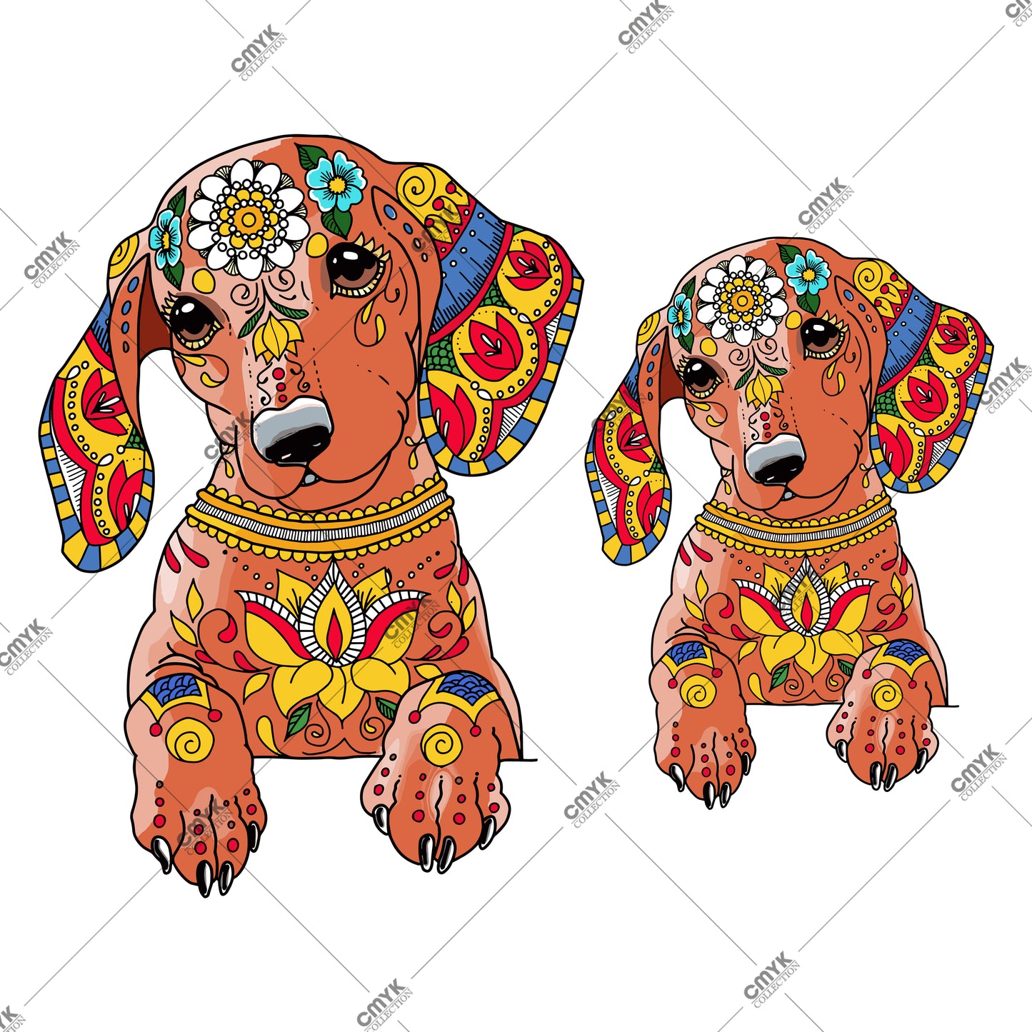 HAYVAN GÖRSELLERİ -0212