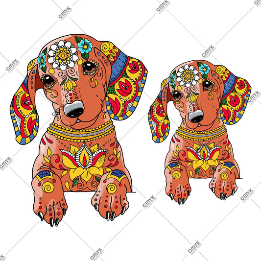 HAYVAN GÖRSELLERİ -0212