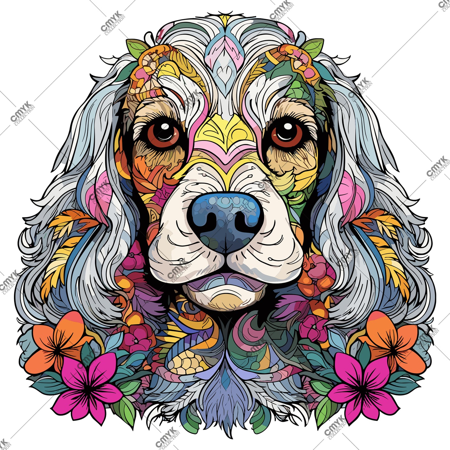 HAYVAN GÖRSELLERİ -0213