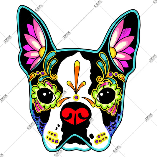 HAYVAN GÖRSELLERİ -0217