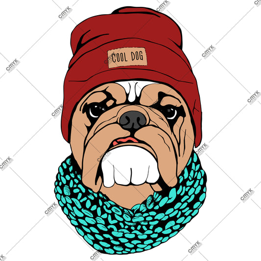 HAYVAN GÖRSELLERİ -0284