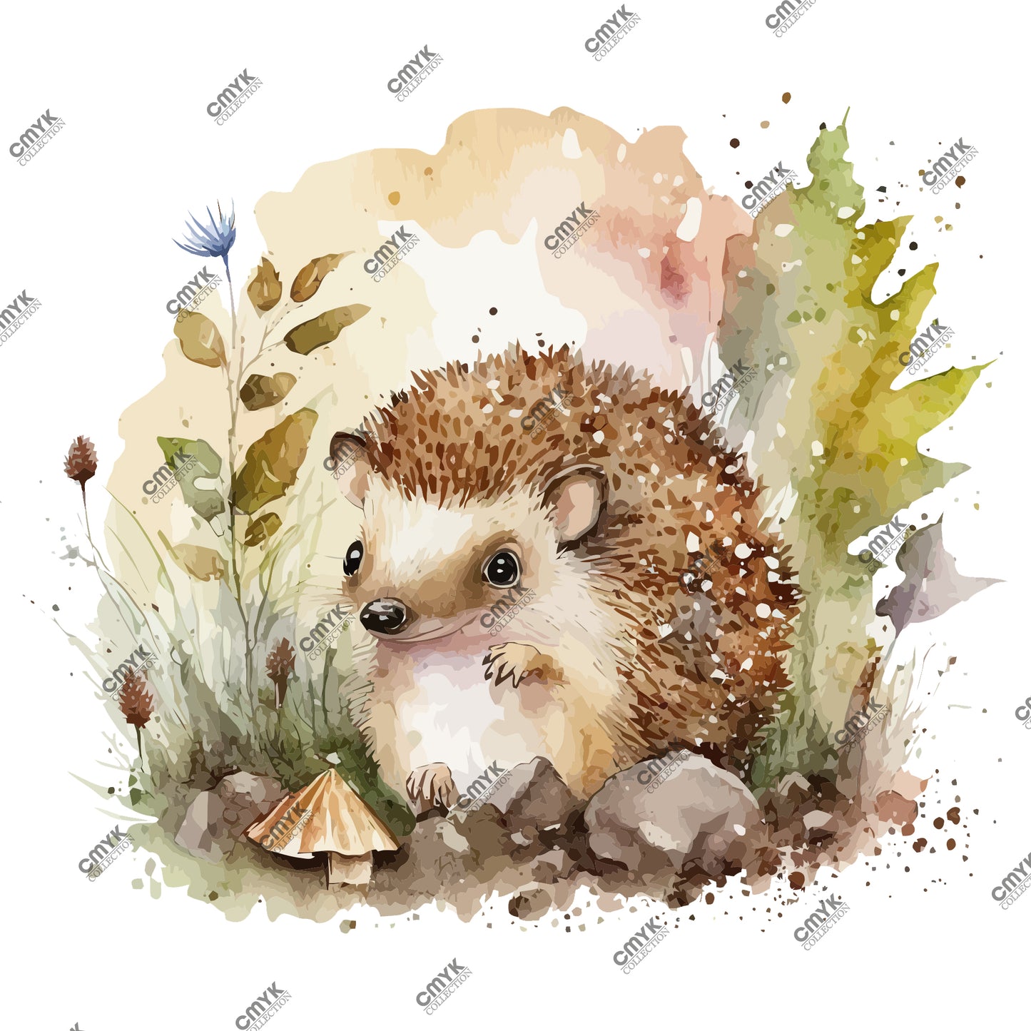 HAYVAN GÖRSELLERİ -0065