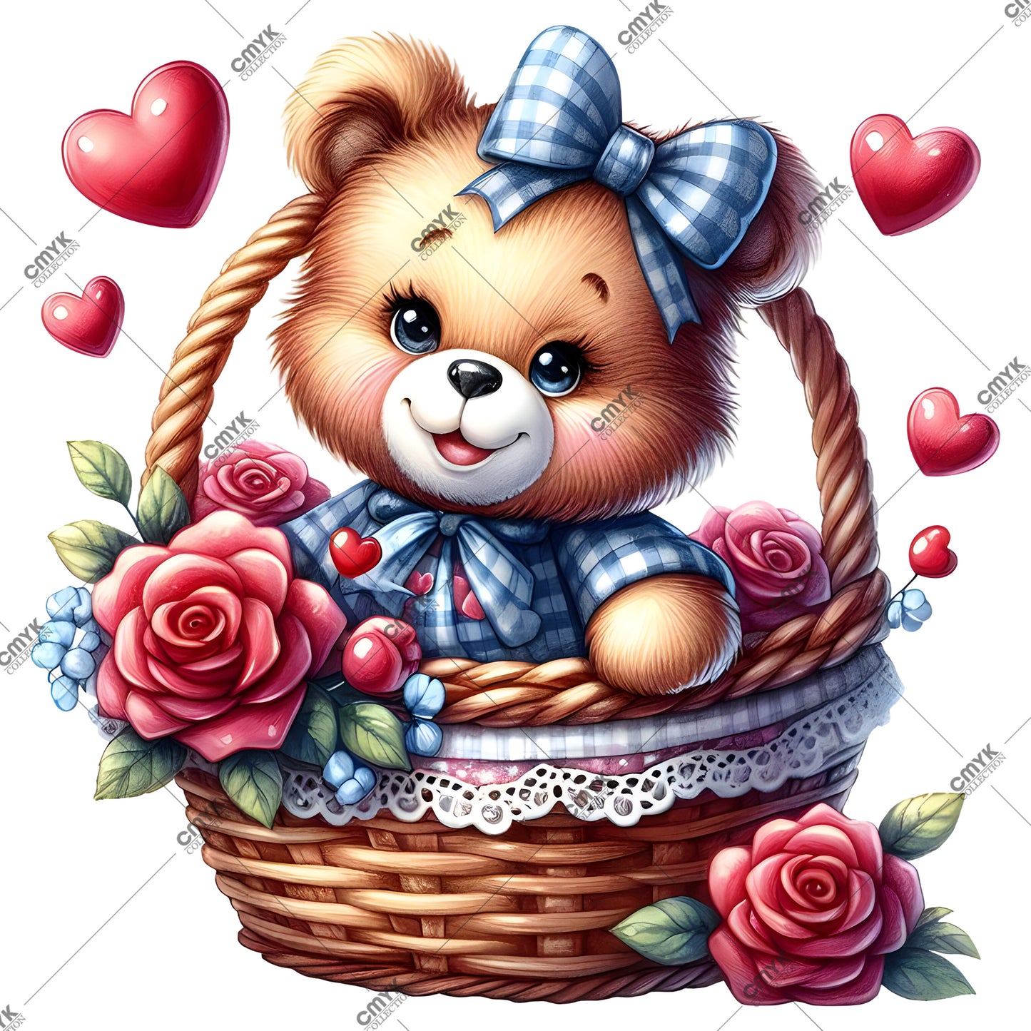 TEDDY -0165