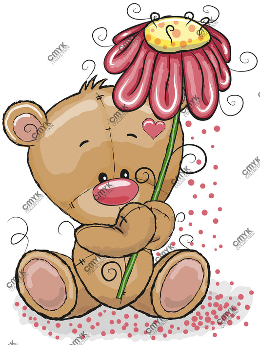 TEDDY -0017