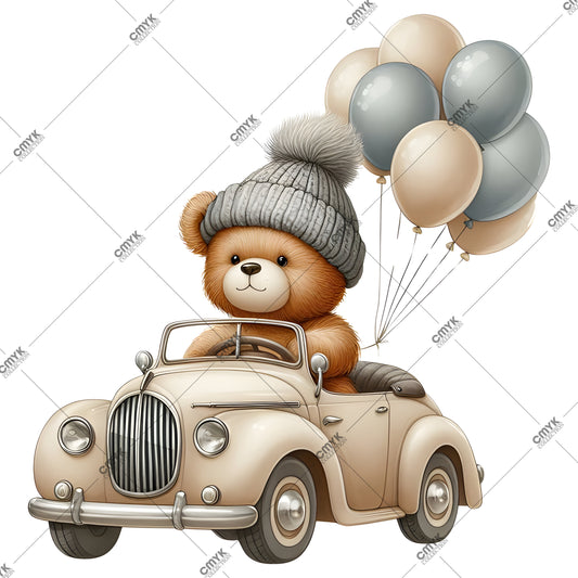 TEDDY -0184