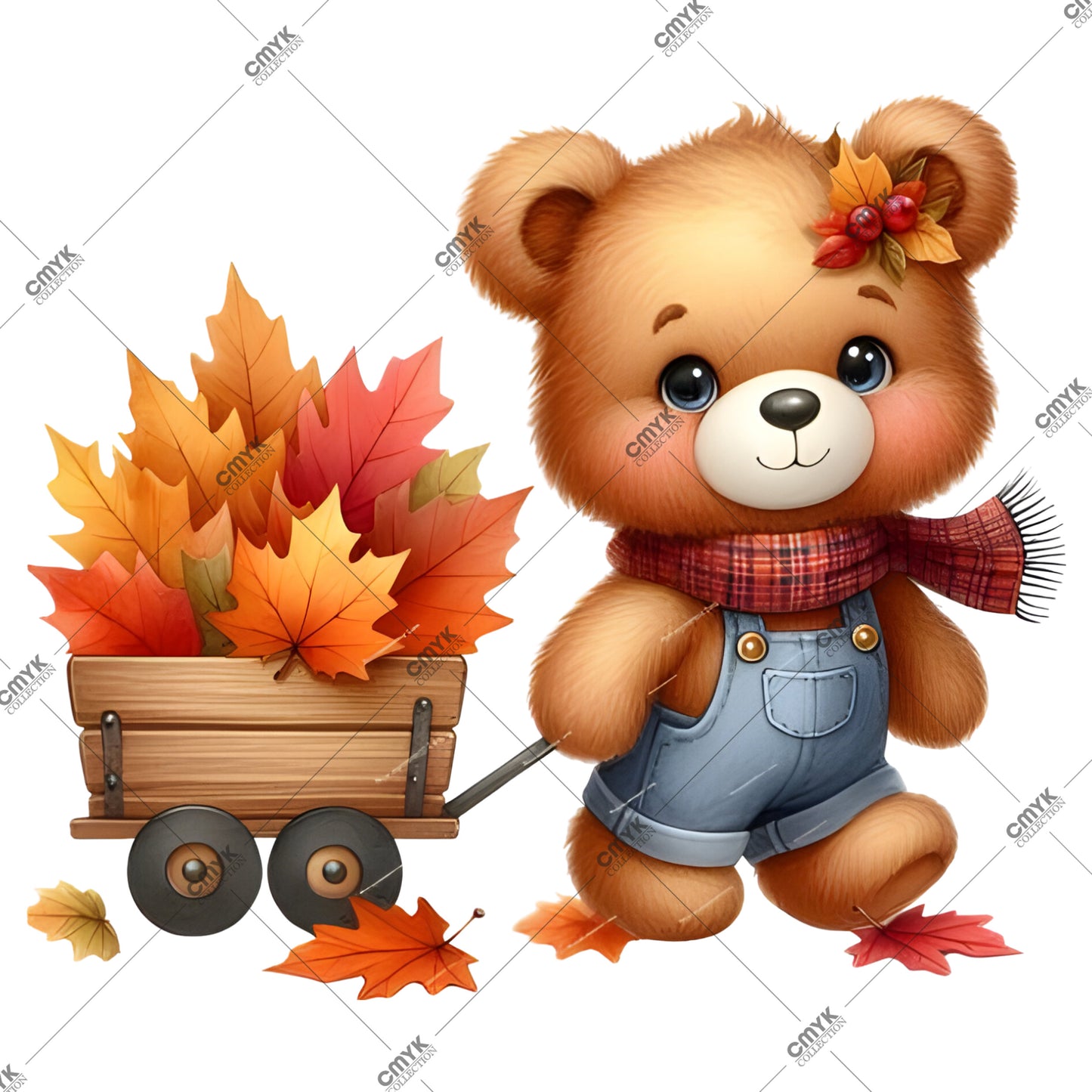 TEDDY -0193